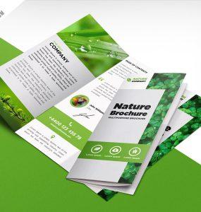 Izrada Brosura Tri Fold Za Promociju Prirodnih Proizvoda Min